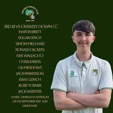 Image result for Lingfield Cricket Club