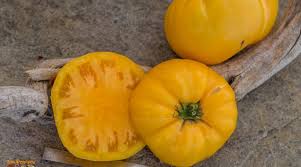 Afbeeldingsresultaat voor millionaire tomato