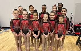 Image result for United Gym Academy Ltd