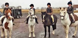 Image result for Fife Riding Club