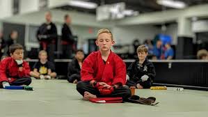 Image result for Action Karate