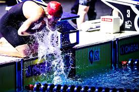 Image result for Swansea Finswimming Club