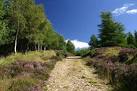NJ0830 : Speyside Way in Tom an Uird Wood. near to Delliefure, Highland, - via Daymix