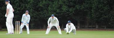 Image result for Stourport On Severn Cricket Club