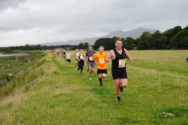 Image result for Wee County Harriers