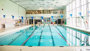 Image result for York University Pool Club
