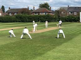 Image result for Pontblyddyn Cricket Club