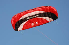 Image result for Baiter Power Kite