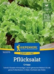 Image result for Pflücksalat
