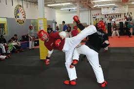 Image result for Ndm Martial Arts