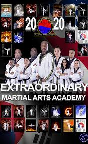 Image result for Professional  Martial Arts Academy