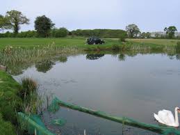 Image result for Bay Malton Angling Club