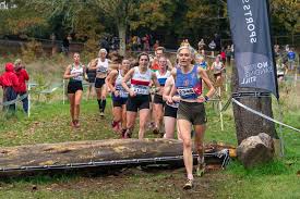 Image result for Chepstow Harriers