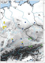 Attēlu rezultāti vaicājumam “Ommatoiulus vilnensis”