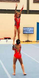 Image result for Wigan Seagulls