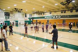 Image result for Plains Badminton Club
