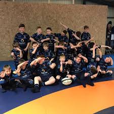 Image result for Aspull RFC