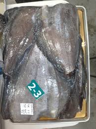 Image result for Reinhardtius hippoglossoides