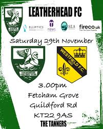 Image result for Leatherhead Football Club