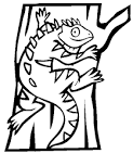 Iguana coloring page