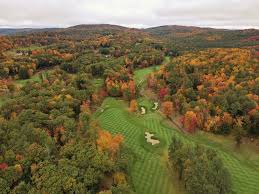 Image result for Fox Gc