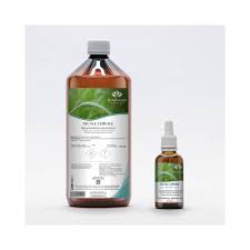 Image result for Secale cereale