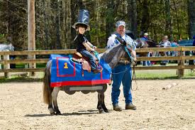 Image result for Bookham Riding Club