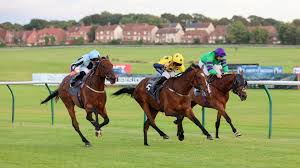Image result for Ayr Riding Club