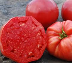 Afbeeldingsresultaat voor mortgage lifter bicolor strain tomato
