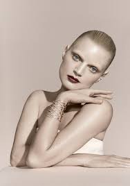 Image result for Guinevere van Seenus