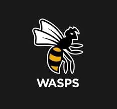 Image result for Wasps Football Club