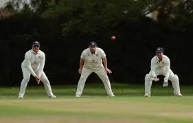 Image result for Haxey Cricket Club