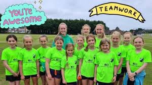 Image result for North Down Cricket Club