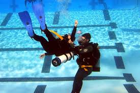 Image result for Splash Divers Sub Sub Aqua Club