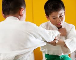 Image result for Merseyside Judo Academy