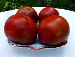 Afbeeldingsresultaat voor marizol purple tomato