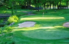 Image result for Brookside Badminton Club