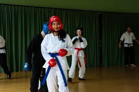 Image result for Bytomic Tae Kwon Do Witney