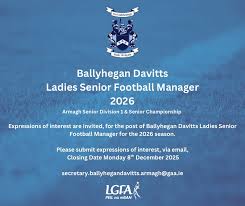 Image result for Ballyhegan Davitts Gaa Club