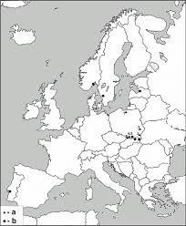 Attēlu rezultāti vaicājumam “Cordyceps stylophora”