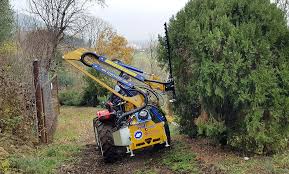 Image result for marolin tehron