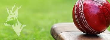 Image result for Hatfield Hyde Cricket Club