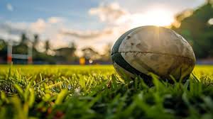 Image result for Wellington Rugby Football Club Limited