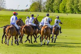 Image result for Beaufort Badminton Club