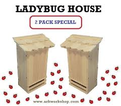 Image result for ladybug house