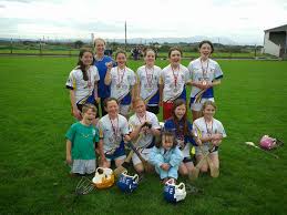 Image result for Causeway Hurling Club