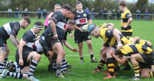 Image result for Pembroke Dock Harlequins RFC