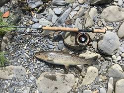 Image result for Segdoune Flyfishers` Angling Club