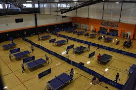 Image result for Reigate Roystons Table Tennis Club