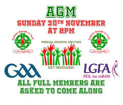 Image result for Owen Roe G A C Coleraine